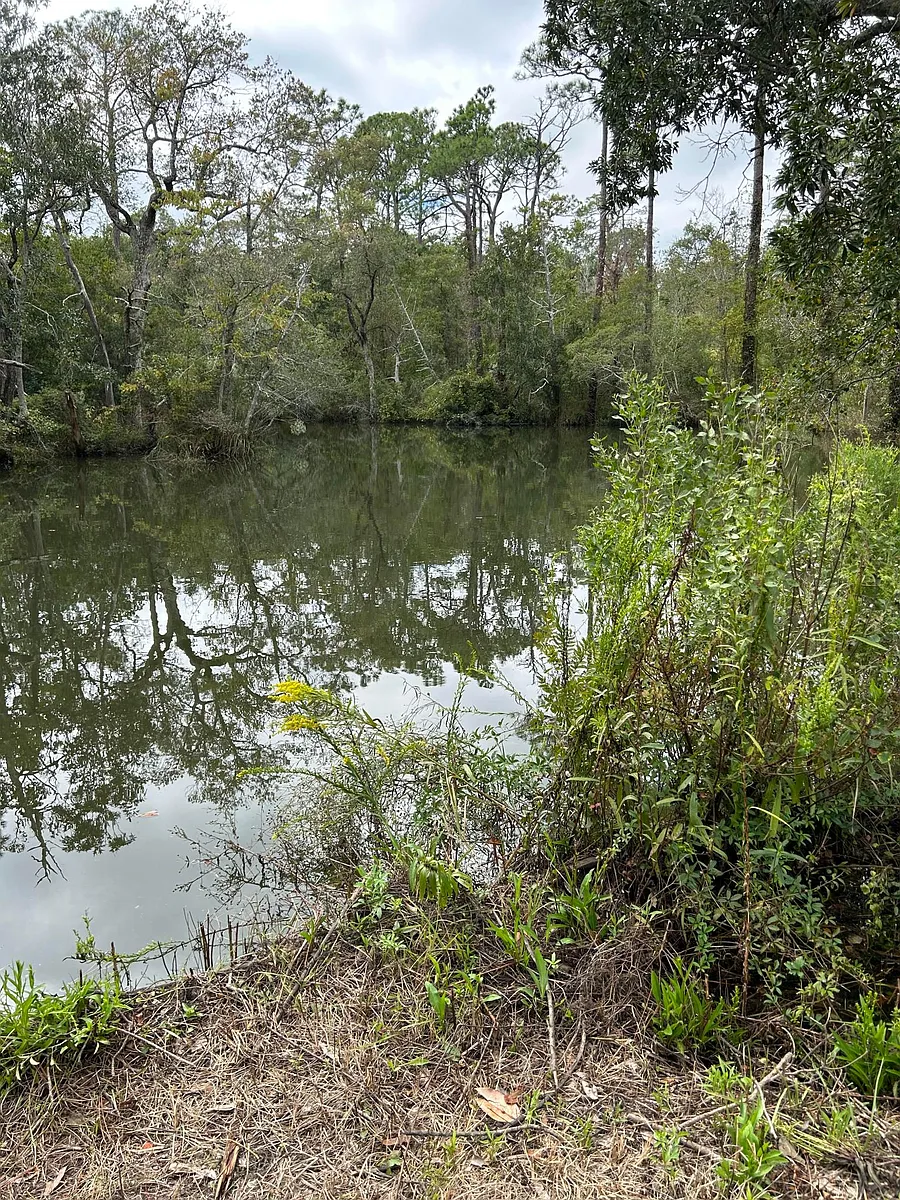 Photo 2 of 24 - 7582 Riverwood Dr - Foley, AL The river lot which is a 2 minute walk from rental house. You can fish from the shore or rent a canoe or kayak and explore the beautiful Bon Secour river. The canoe rental place is right down Riverwood Drive. - 7582 Riverwood Dr