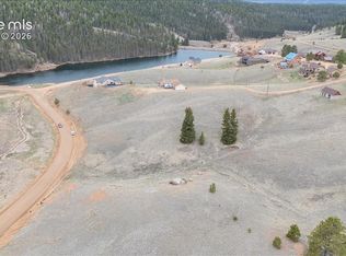 175 Twin Lakes Dr, Divide, CO 80814