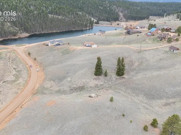 175 Twin Lakes Dr, Divide, CO 80814