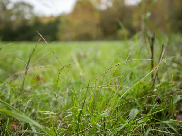 000 M Highway, Success, MO 65570