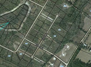 90 Picketts Mill Trl, Waynesville, GA 31566