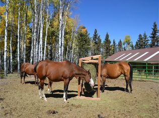 1681 County Road 5, Divide, CO 80814