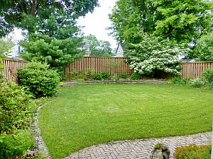 Professional Landscaping