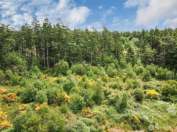 3rd image of 0 XXX Goldie Road #2