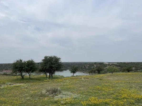 1334 Fagan Rd, Snyder, TX 79549