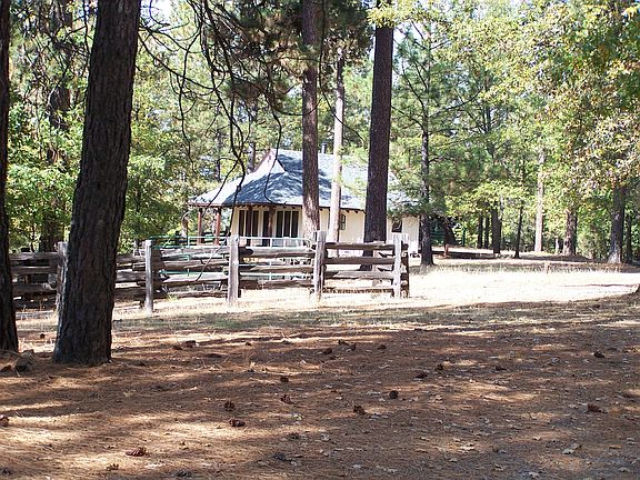 "Buffalo Cabin" 