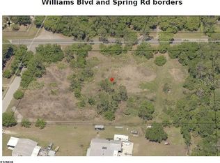 Spring & Williams Bv Rd, Valrico, FL 33596