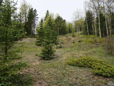 Vacant Land, Cripple Creek, CO, 80813
