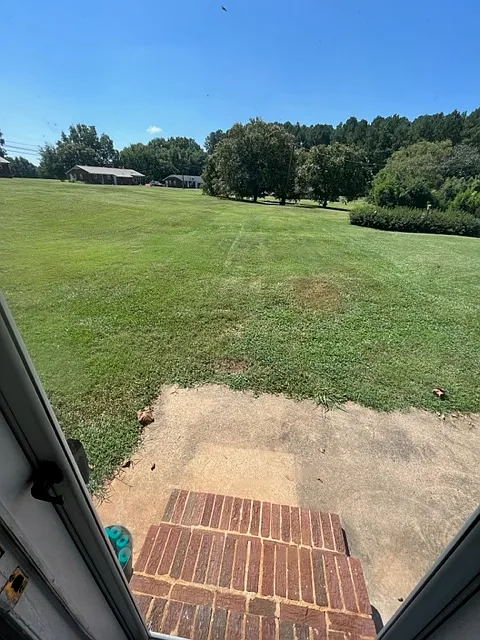 2 bed, $900 — Photo 2