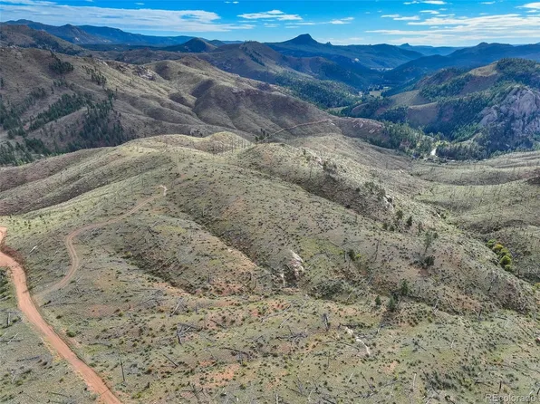 770 Holmes Gulch Way, Bailey, CO 80421