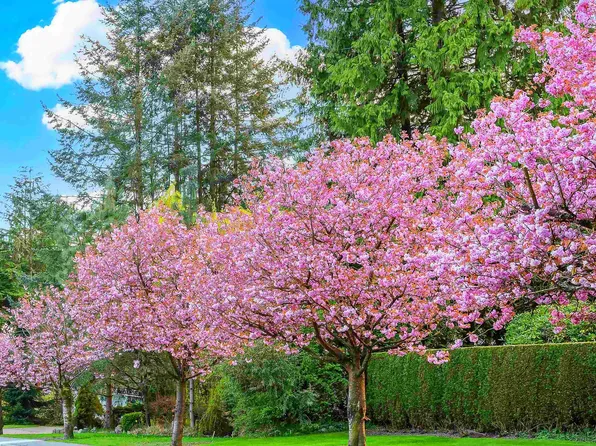 74 E 37th Ave, Vancouver, BC V5W 1E2