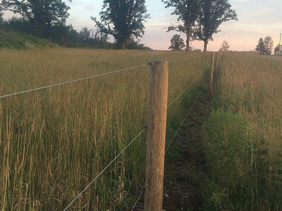 High tensil fence rd frontag
