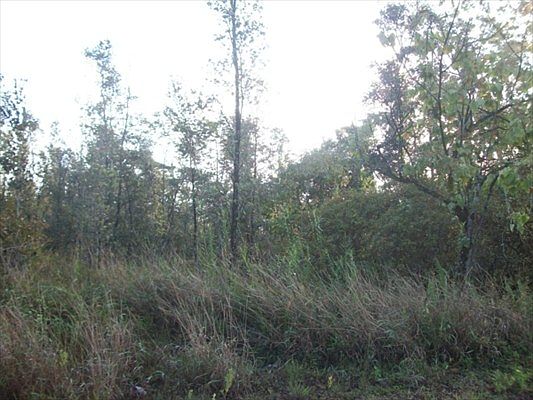 1st image of 6th Ave Lot 2266