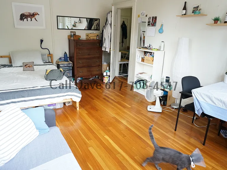 1800 Commonwealth Ave #14 — Photo 10