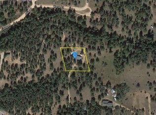 12998 Parker Ave, Pine, CO 80470
