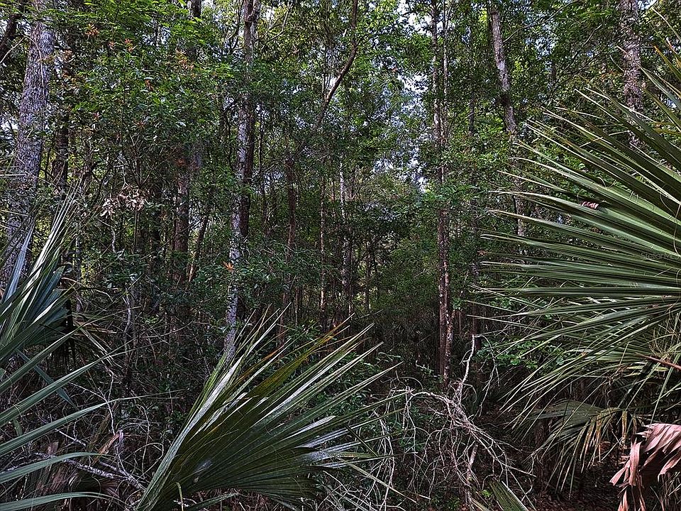 0 SE Tuscawilla Rd 1, Micanopy, FL 32667 MLS GC504447 Zillow