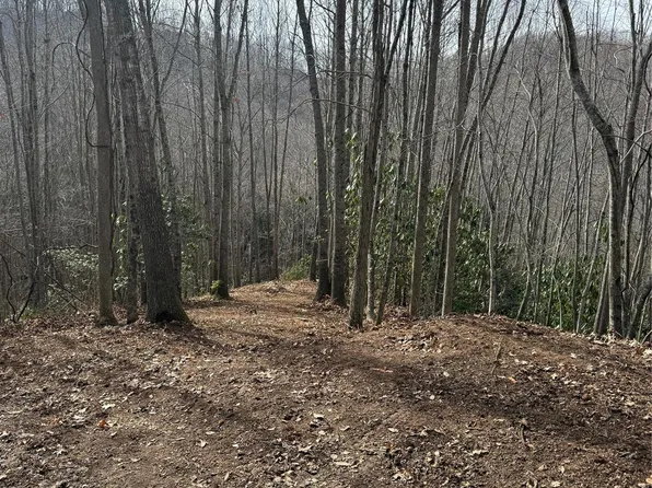 236 Down The Hill Rd, Sylva, NC 28779