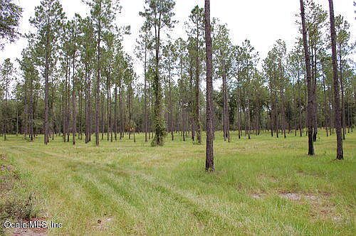 3rd image of 4221 NE County Road 219a