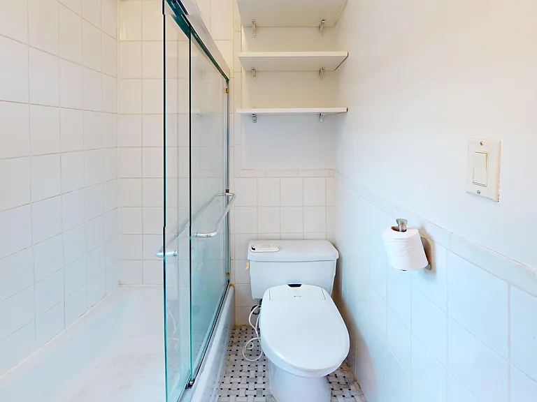 245 W 51st St #PENTHOUSE — Photo 6