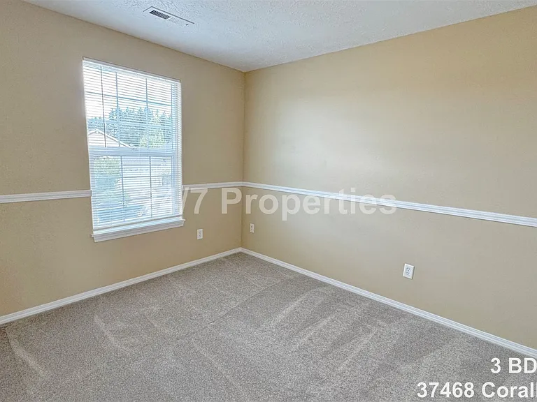 37468 Coralburst St — Photo 11
