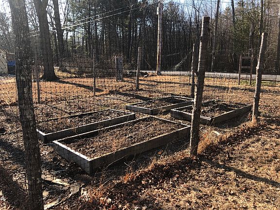 Organic garden, raised beds