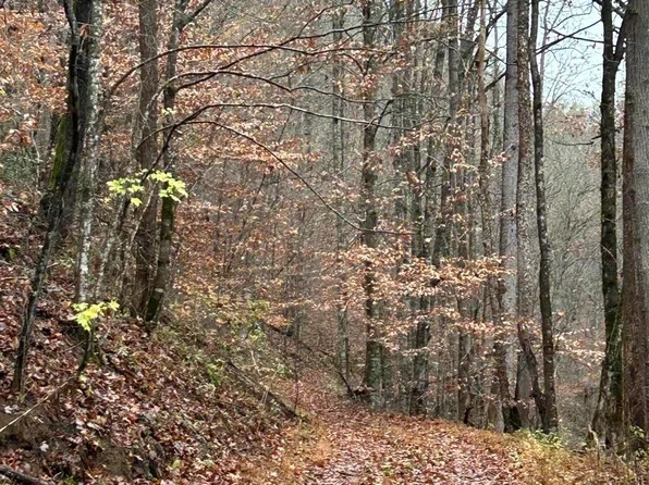 61 Highway E, Maynardville, TN 37807