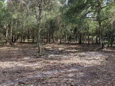 824 Woodland Blvd, Clewiston, FL, 33440