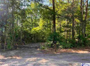 281 Pineneedle Cir, Johnsonville, SC 29555