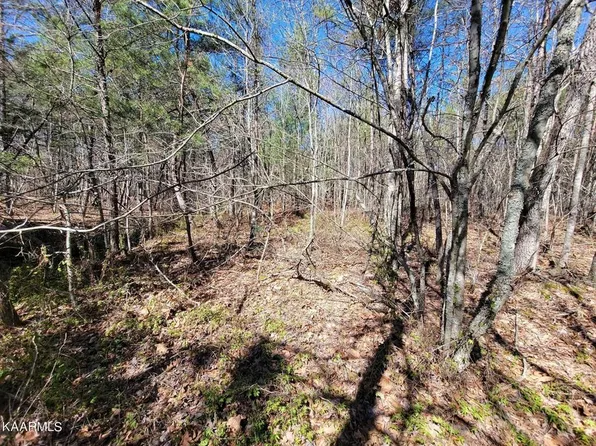 LOT 25 Paige Ln Lot 25, Deer Lodge, TN 37726