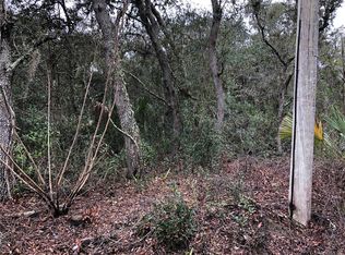 158 S Fitzpatrick Ave, Inverness, FL 34453