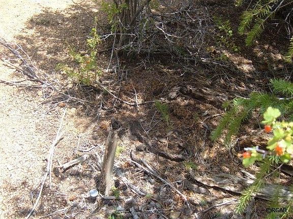4th image of Tbd Trail Dr