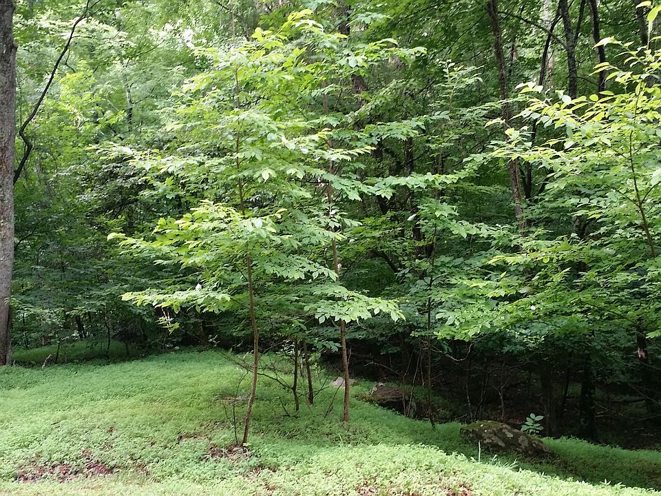 2nd image of Allen Mill Creek Rd