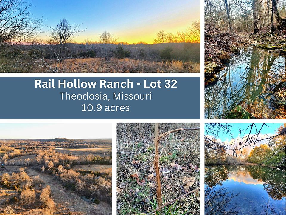 000 Us Highway 160, Theodosia, MO 65761 Zillow