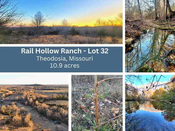 000 Us Highway 160, Theodosia, MO 65761