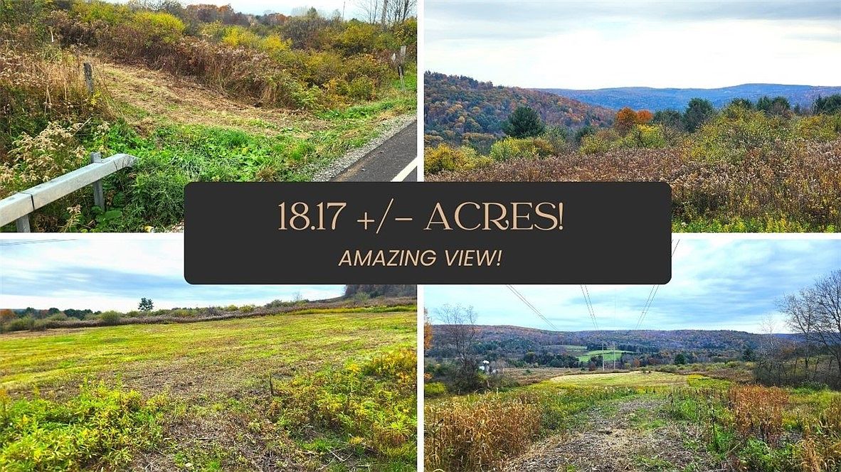 LOT 10 State Highway 41, Afton, NY 13730 MLS R1508054 Zillow