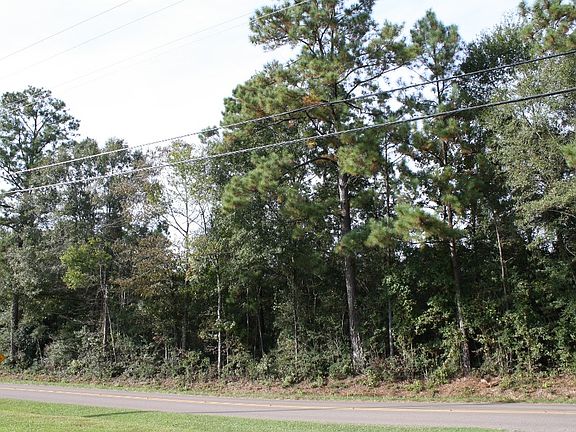5th image of 17221 Million Dollar Road