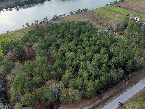 3rd image of 2021 White Buck Ct