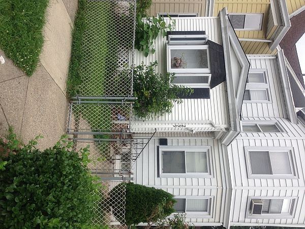 2nd image of 299 E 31st St