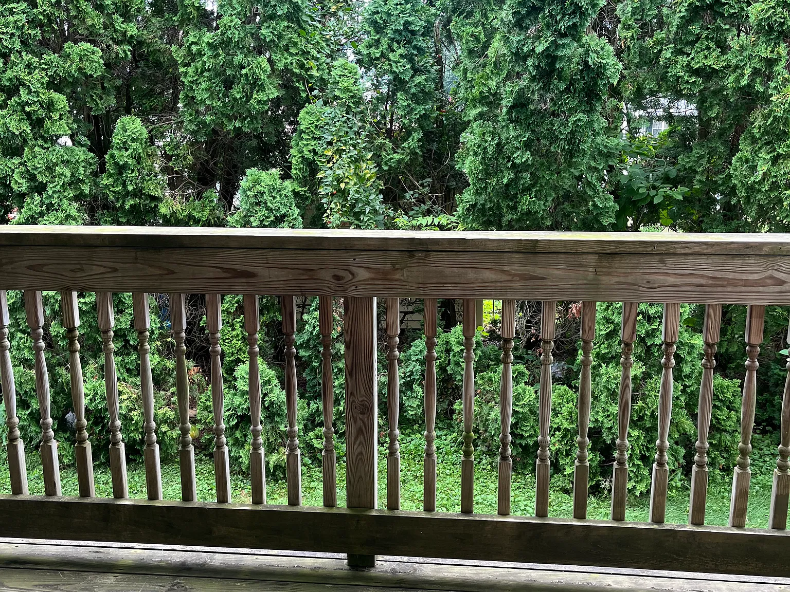 2 bed, $1,325 — Photo 3