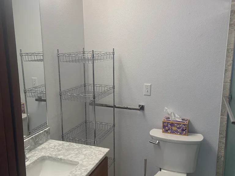 Master bathroom