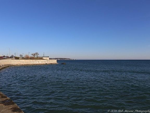 5th image of 295 Lynn Shore Dr APT 601