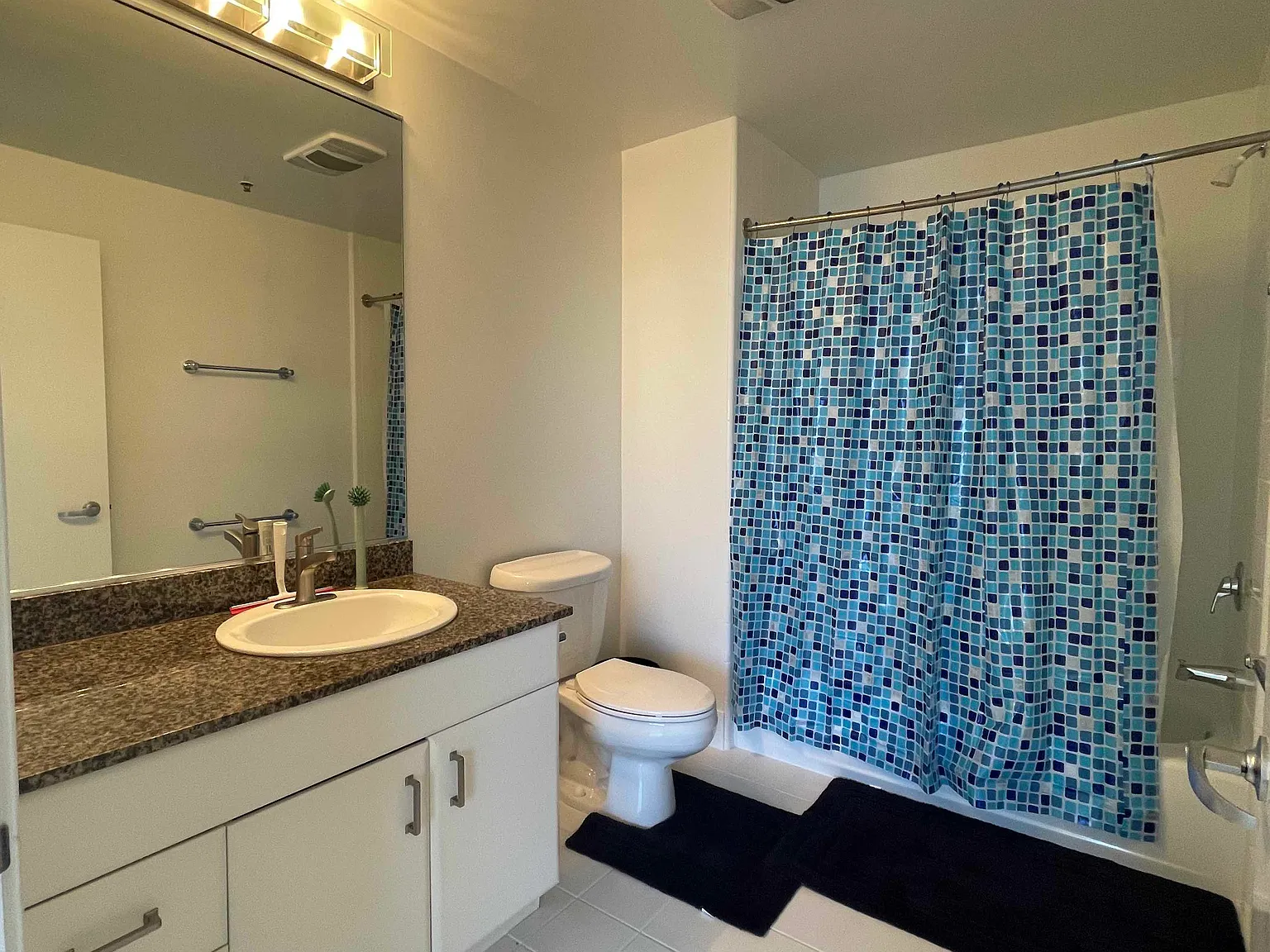 1 bed, 250 sqft, $3,295 — Photo 4