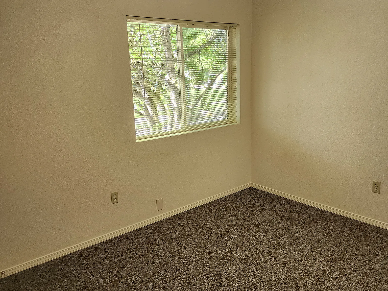 1 bed, $875 — Photo 3