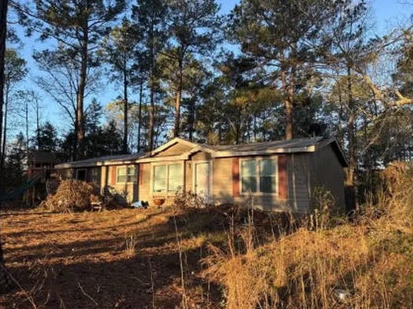 161 Cilantro, Diana, TX 75640