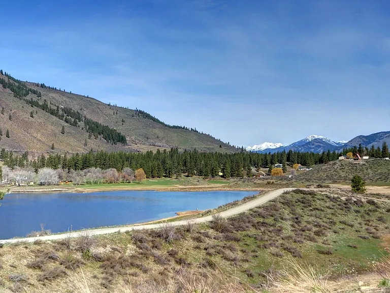 Twin Lakes Dr — Photo 11