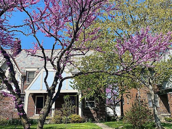 2nd image of 1639-1645 Glenn Ave