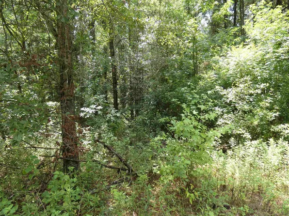 Blackberry Trl, Monticello, FL 32344