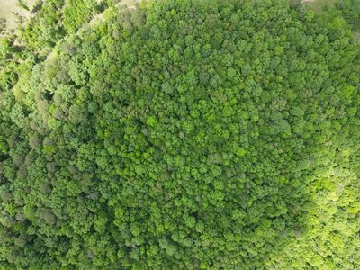 LOT 20 April Ln, Wickes, AR, 71973