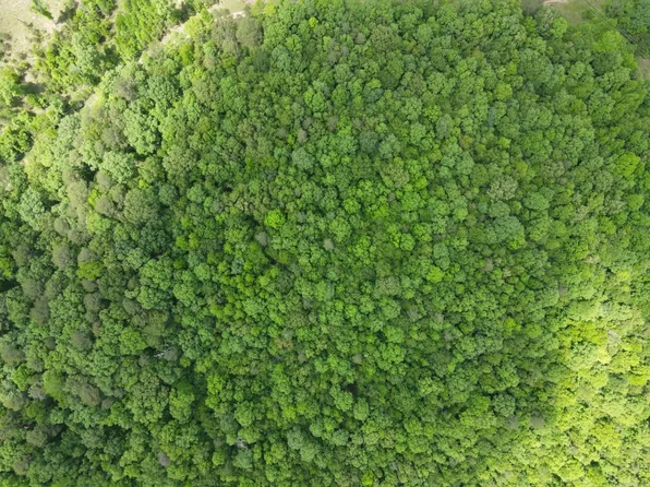 LOT 20 April Ln, Wickes, AR 71973