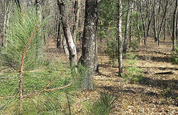 Actual photo of the property